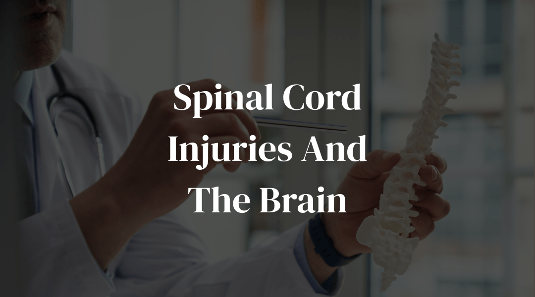 Spinal cord injuries and the brain